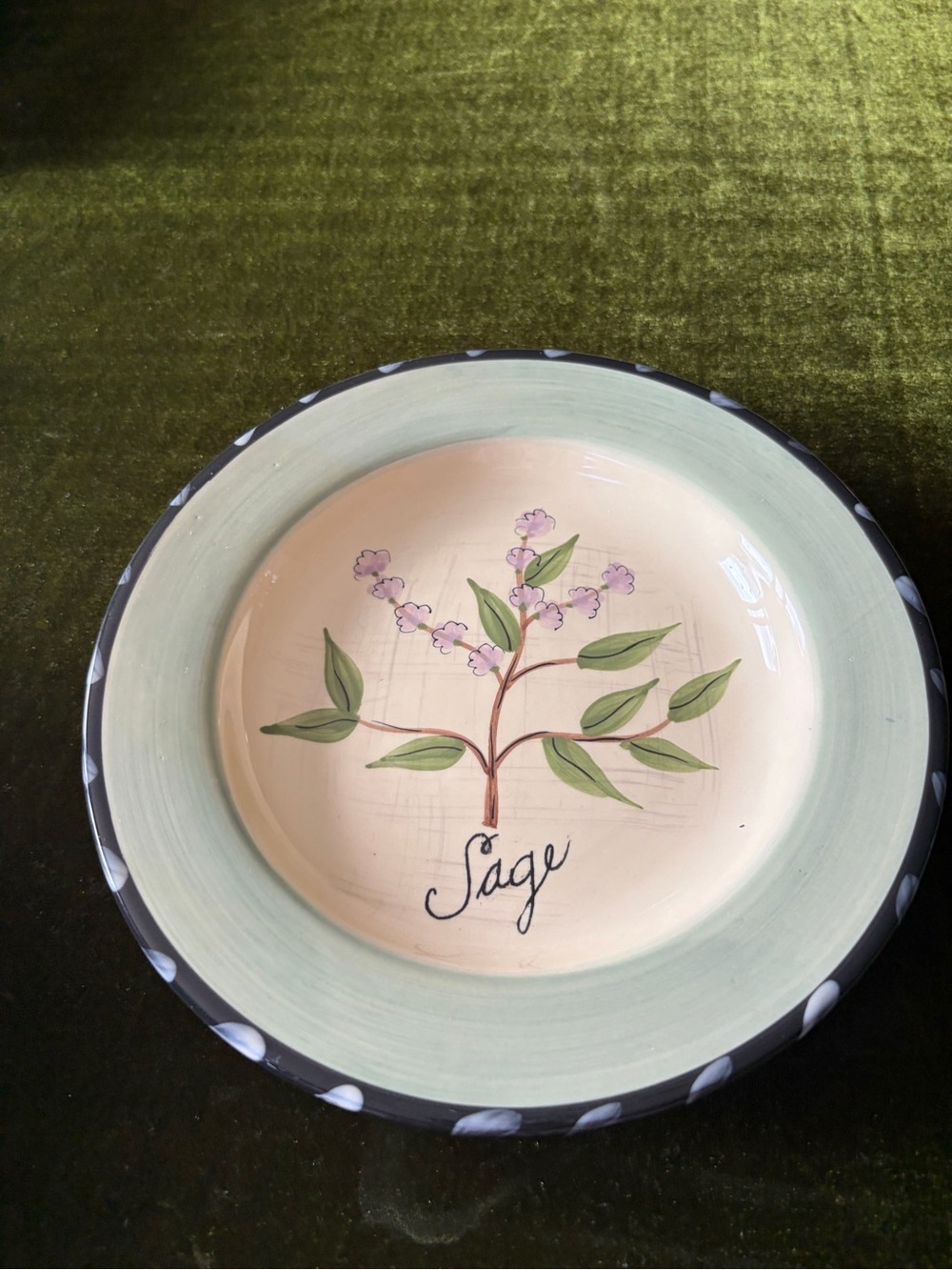 Hand-Painted Sage Botanical Ceramic Serving Bowl - Mint Rim